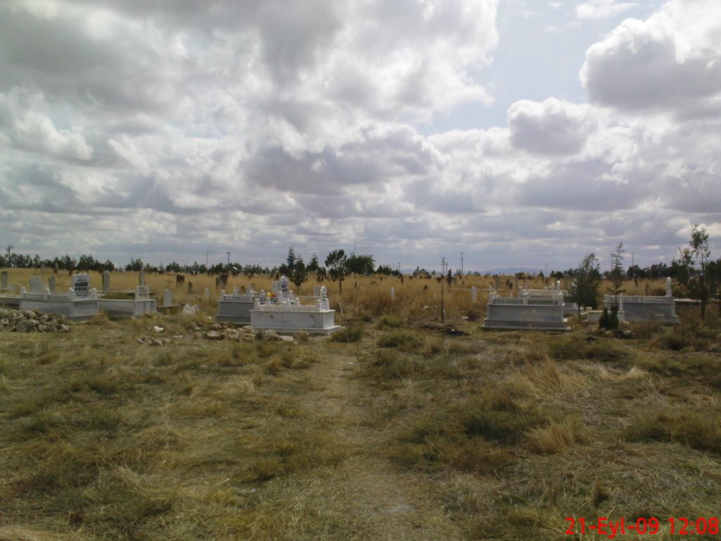 Türkmenmecidiye temetője – vegetáció ősszel (fotó: Icould)