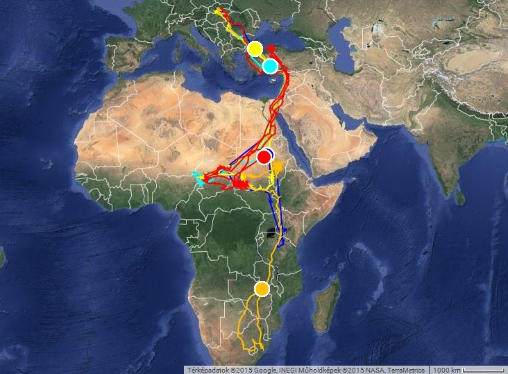 Vonuló gólyáink helyzete 2015. március 23-án; 